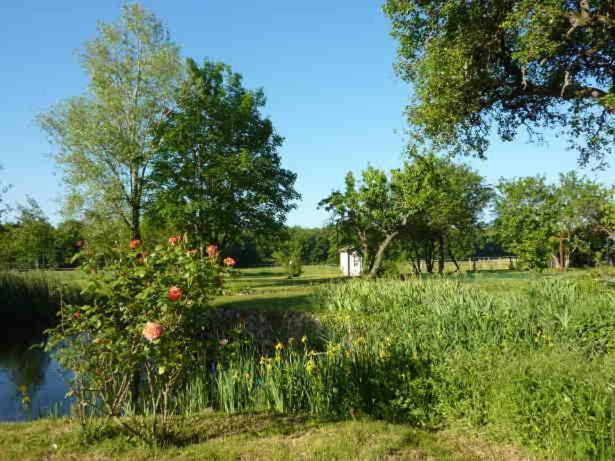 Maison Dans Belle Longere - La Serrerie Le Controis-en-Sologne Exterior foto